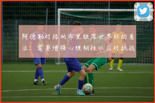 阿德勒对格纳布里缺席世界杯的看法：需要增强心理韧性以应对挑战