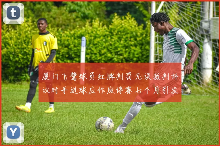厦门飞鹭球员红牌判罚无误裁判评议对手进球应作废停赛七个月引发热议
